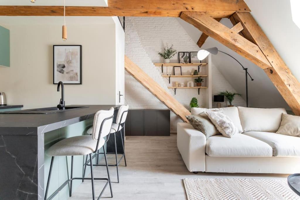 L'Elegant - Appartement Fonctionnel Plein-Centre De Douai Luaran gambar